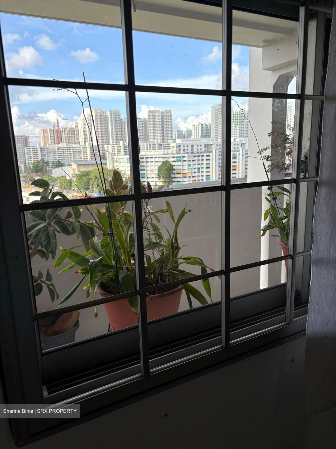 Blk 402 Woodlands Street 41 (Woodlands), HDB 5 Rooms #604248161